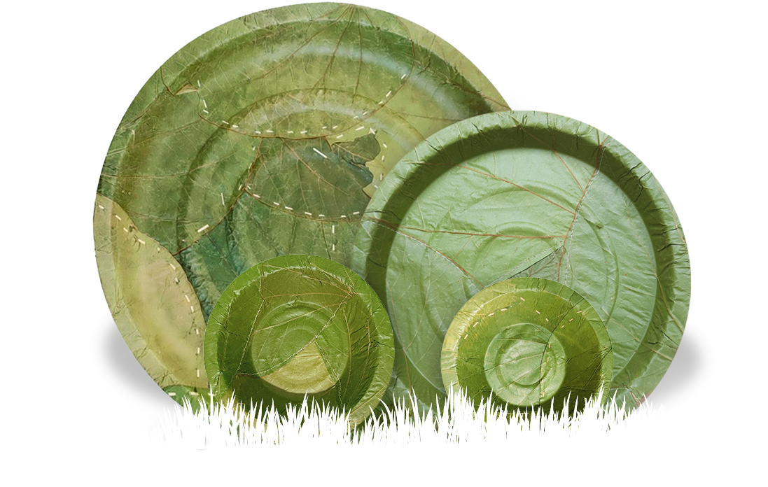 PALASH – Sal Leaf Tableware Plates | Bowls | Combination Set